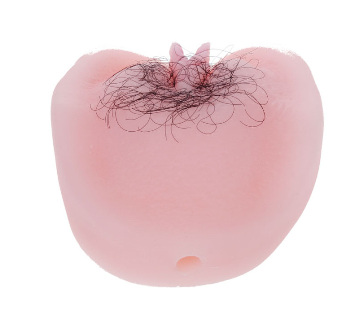 Кибер вагина и анус с голосом LyBaile Телесная