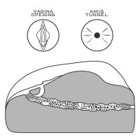 Мастурбатор LoveToy Streetgirl's #1 Black Мастурбатор LoveToy Streetgirl's #1 Black