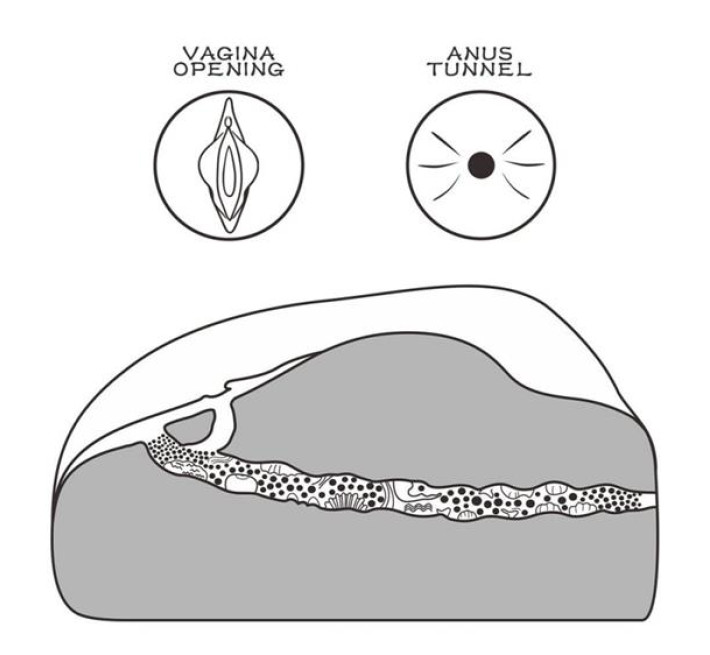 Мастурбатор LoveToy Streetgirl's #1 Black