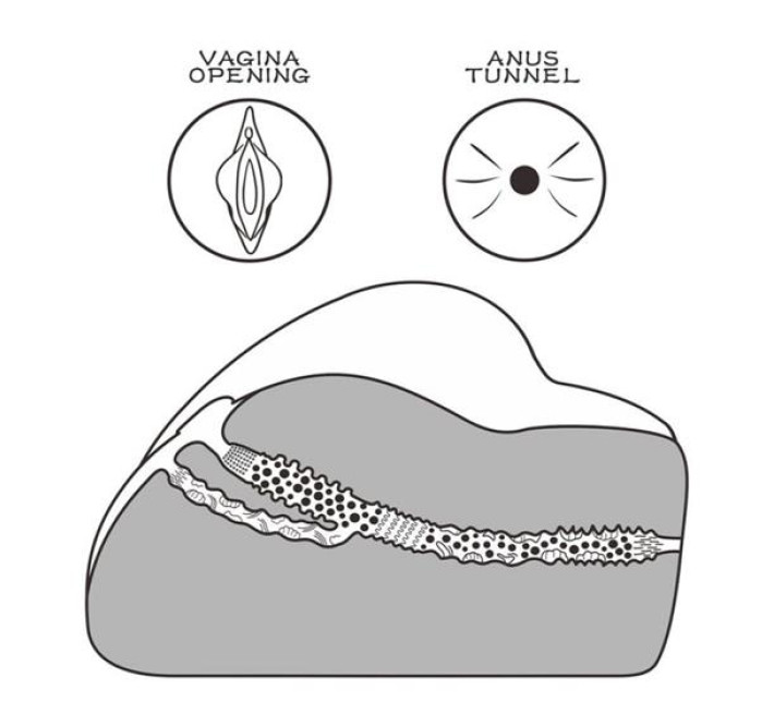 Мастурбатор LoveToy Streetgirl's #3 Flesh