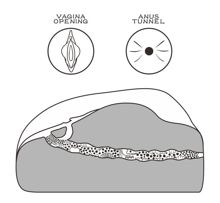 Мастурбатор LoveToy Streetgirl's #1 Flesh