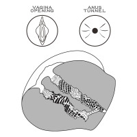 Мастурбатор LoveToy Streetgirl's #11 Flesh