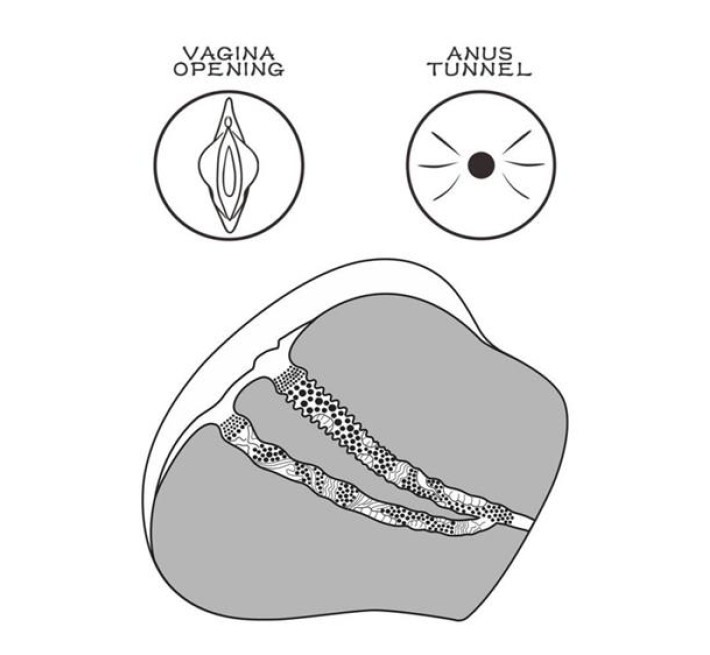 Мастурбатор LoveToy Streetgirl's #4 Flesh