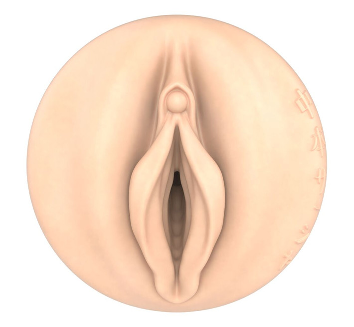 Мастурбатор Fleshlight Fantasy Sasha Nakamoto Ecchi