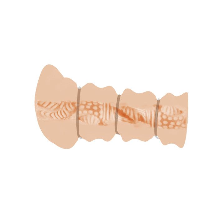 Мастурбатор Crazy Bull Rossi Flesh