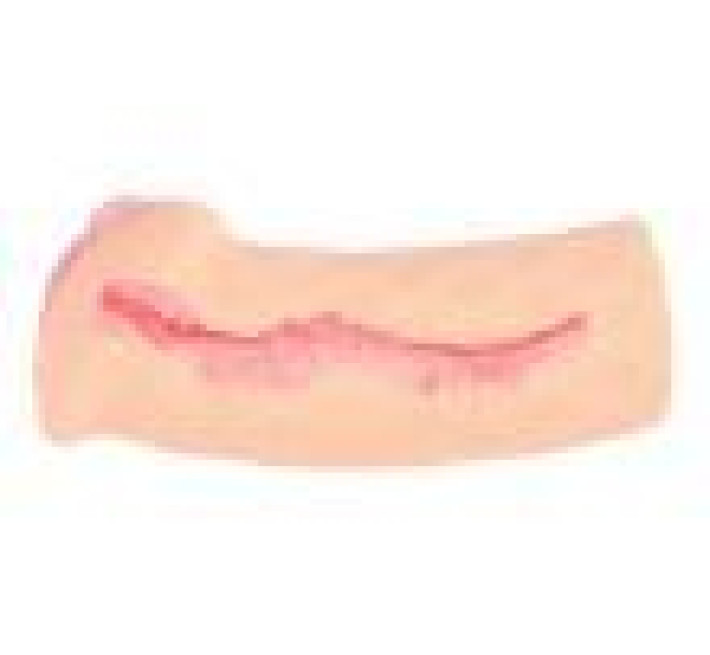 Мастурбатор Kokos Elegance 007 Double Layer