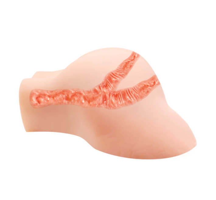 Мастурбатор Crazy Bull Julie Vagina and Ass