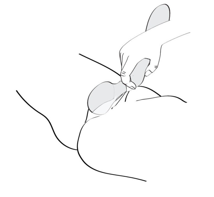 Вібромасажер Shunga Zoa Raspberry, двосторонній