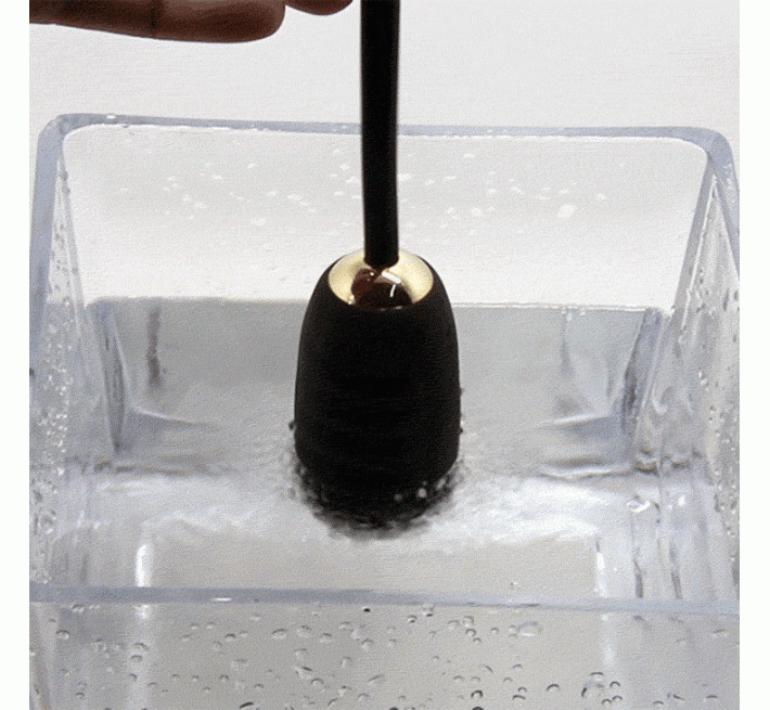 Віброяйце Pretty Love Doreen Remote Control Vibrating Love Egg