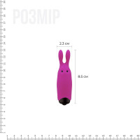 Минивибратор Adrien Lastic Lastic Pocket Vibe Rabbit Розовый Минивибратор Adrien Lastic Lastic Pocket Vibe Rabbit Розовый
