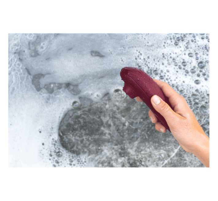 Вакуумный стимулятор клитора Womanizer Classic 2 Bordeaux