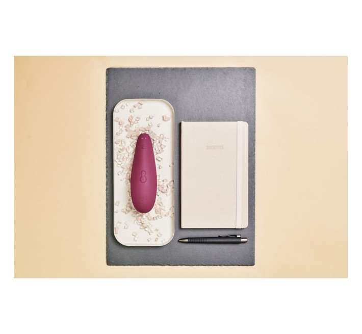 Вакуумный стимулятор клитора Womanizer Classic 2 Bordeaux